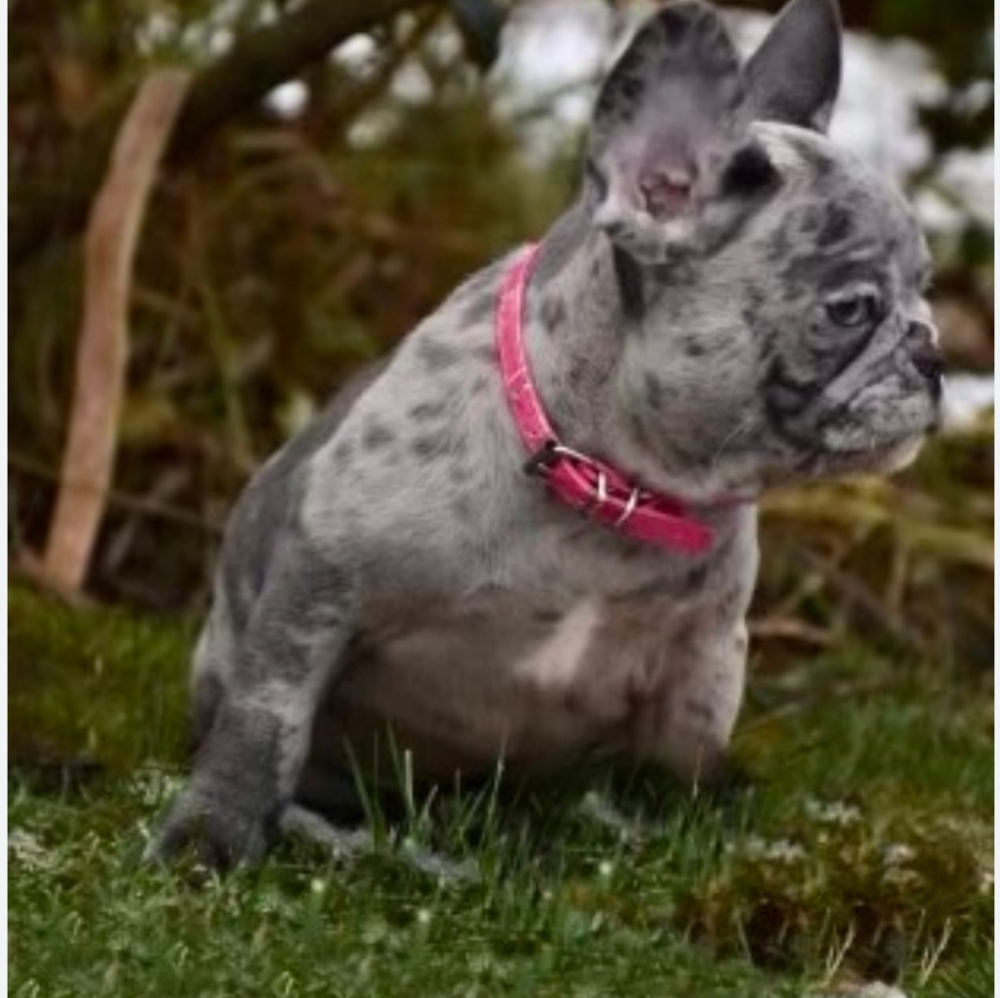 Meet your Posher, Beatriz